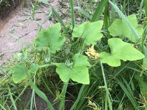 ڂႨ8.JPG