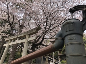 Tꂱ1.JPG