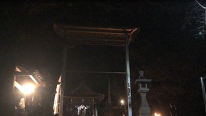 w.jpg