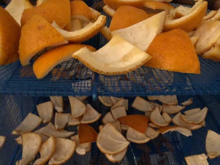 柑橘茶.jpg