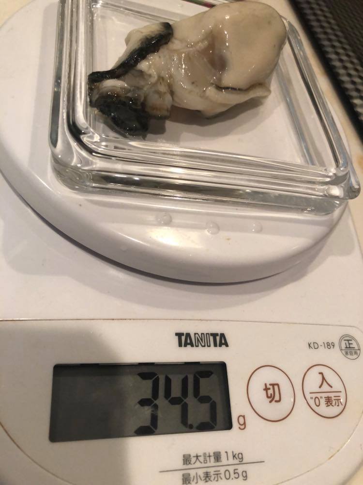 牡蠣1.jpg
