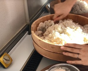 米麹0.jpg