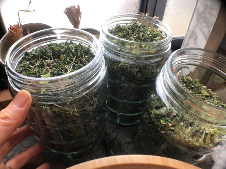 野草で茶0.jpg