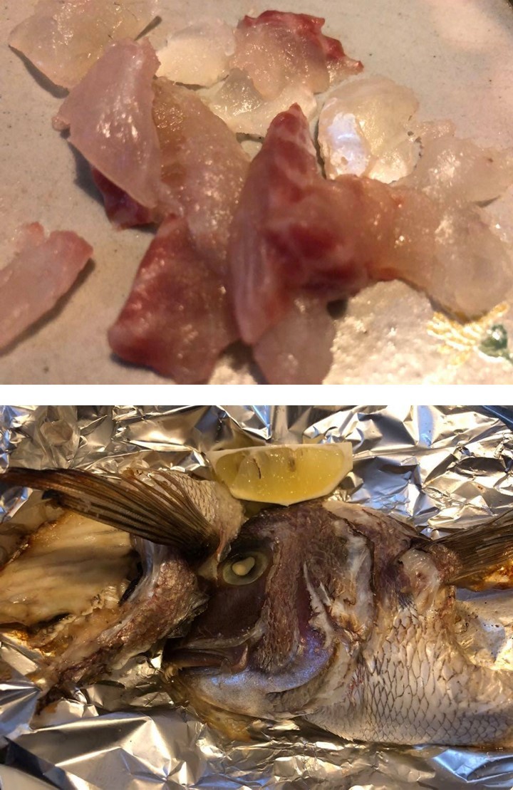 鯛1.jpg