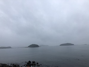IMG_6672.JPG