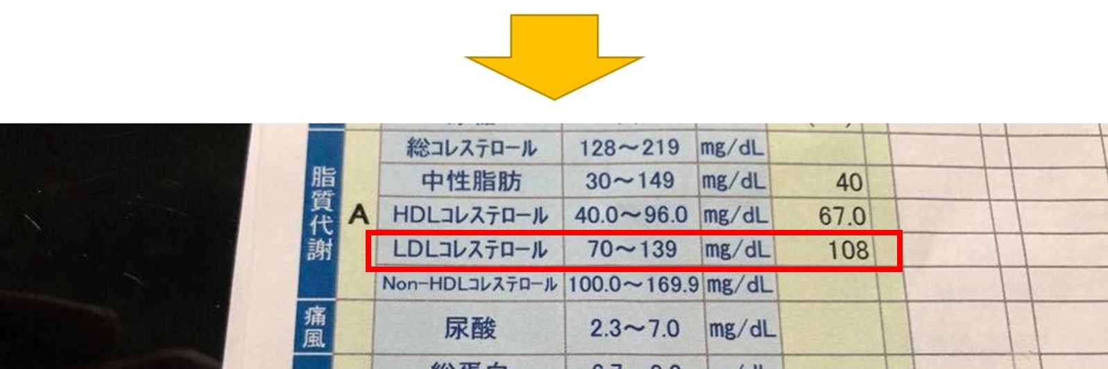 LDL2.jpg