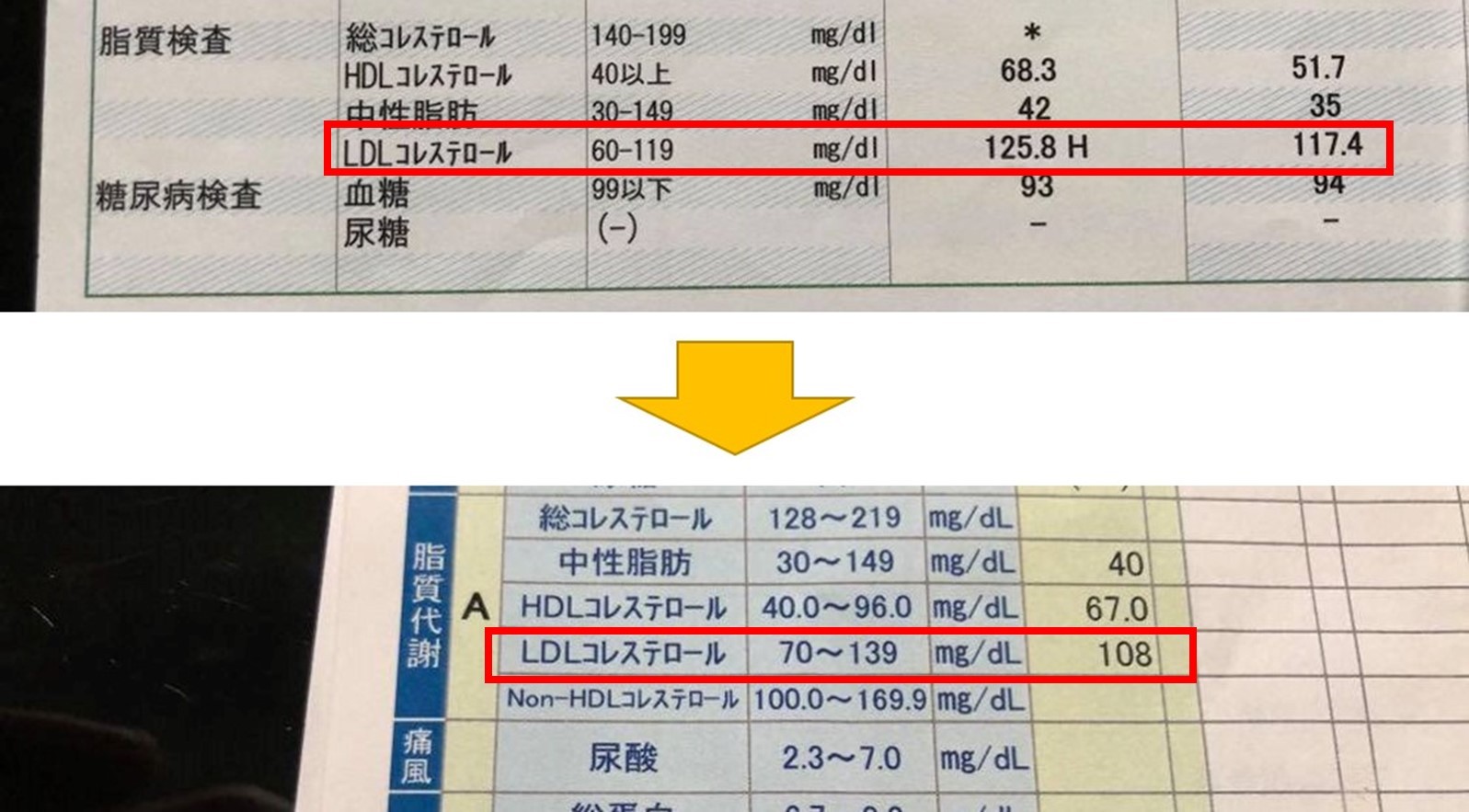LDL3.jpg