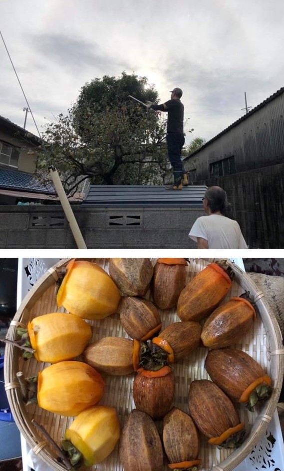 kaki.jpg